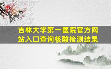 吉林大学第一医院官方网站入口查询核酸检测结果