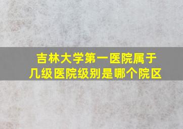 吉林大学第一医院属于几级医院级别是哪个院区