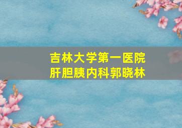 吉林大学第一医院肝胆胰内科郭晓林