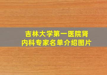 吉林大学第一医院肾内科专家名单介绍图片