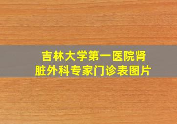 吉林大学第一医院肾脏外科专家门诊表图片