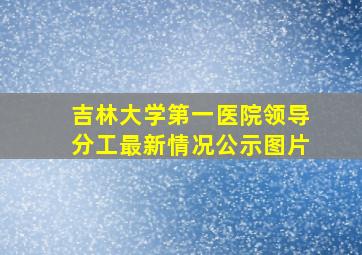 吉林大学第一医院领导分工最新情况公示图片