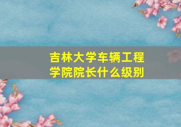 吉林大学车辆工程学院院长什么级别