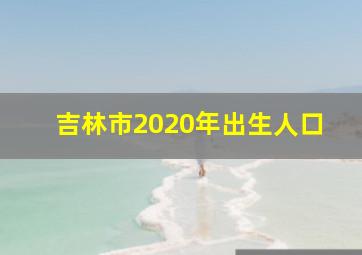 吉林市2020年出生人口