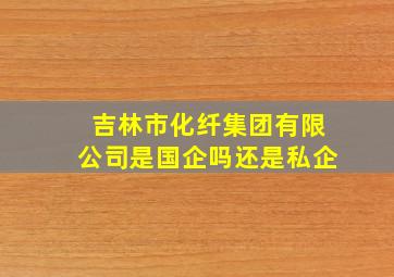 吉林市化纤集团有限公司是国企吗还是私企