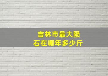 吉林市最大陨石在哪年多少斤