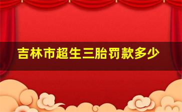 吉林市超生三胎罚款多少