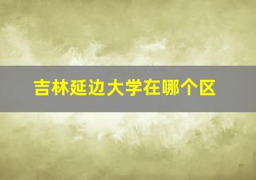 吉林延边大学在哪个区