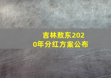 吉林敖东2020年分红方案公布