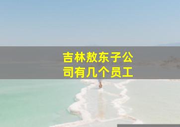 吉林敖东子公司有几个员工