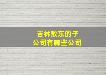 吉林敖东的子公司有哪些公司