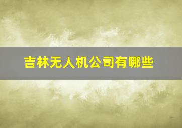 吉林无人机公司有哪些