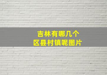 吉林有哪几个区县村镇呢图片