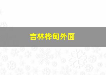 吉林桦甸外面