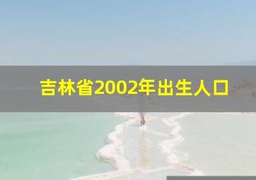 吉林省2002年出生人口