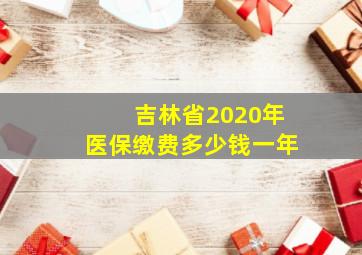 吉林省2020年医保缴费多少钱一年