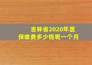 吉林省2020年医保缴费多少钱呢一个月