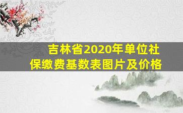 吉林省2020年单位社保缴费基数表图片及价格