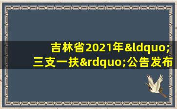 吉林省2021年“三支一扶”公告发布!招500人