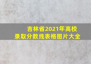 吉林省2021年高校录取分数线表格图片大全