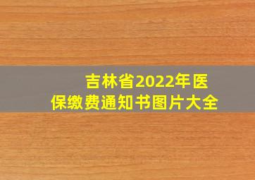 吉林省2022年医保缴费通知书图片大全