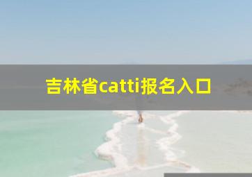 吉林省catti报名入口