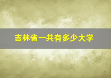 吉林省一共有多少大学