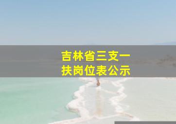 吉林省三支一扶岗位表公示