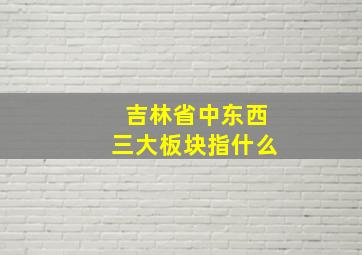 吉林省中东西三大板块指什么