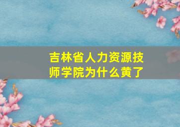 吉林省人力资源技师学院为什么黄了