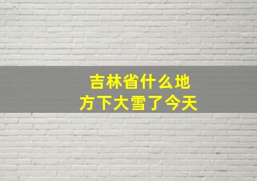 吉林省什么地方下大雪了今天