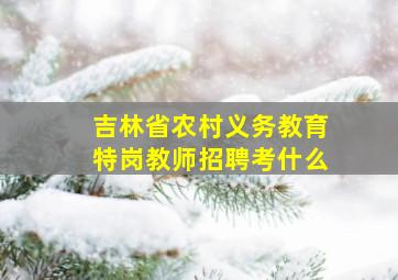 吉林省农村义务教育特岗教师招聘考什么