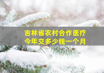 吉林省农村合作医疗今年交多少钱一个月