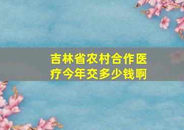 吉林省农村合作医疗今年交多少钱啊