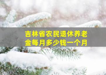 吉林省农民退休养老金每月多少钱一个月