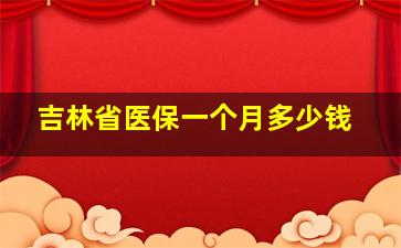 吉林省医保一个月多少钱