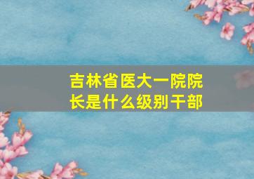 吉林省医大一院院长是什么级别干部