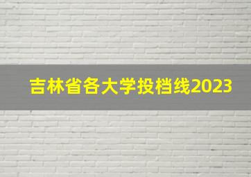 吉林省各大学投档线2023