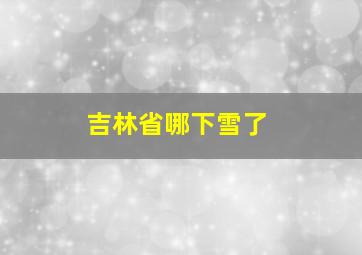 吉林省哪下雪了