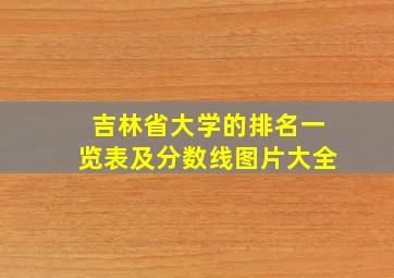 吉林省大学的排名一览表及分数线图片大全