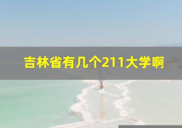 吉林省有几个211大学啊