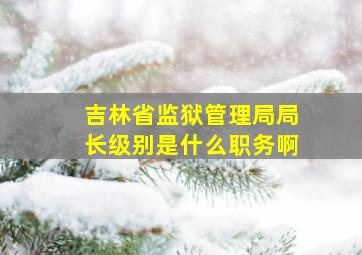 吉林省监狱管理局局长级别是什么职务啊