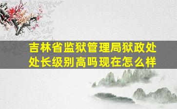 吉林省监狱管理局狱政处处长级别高吗现在怎么样