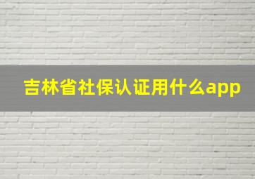 吉林省社保认证用什么app