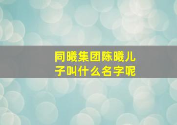 同曦集团陈曦儿子叫什么名字呢