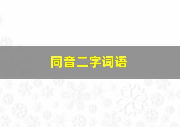 同音二字词语