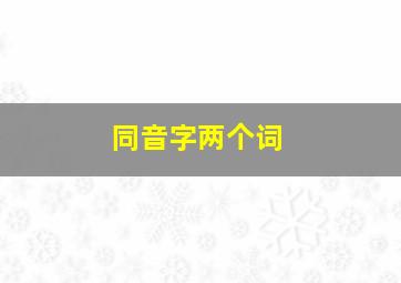 同音字两个词