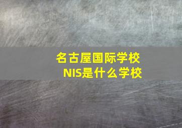 名古屋国际学校NIS是什么学校