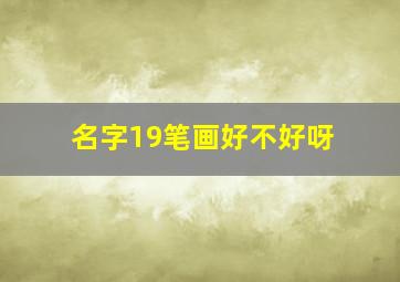 名字19笔画好不好呀