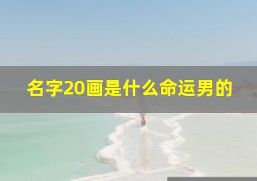 名字20画是什么命运男的